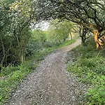 Starfish Shack - Part Of The The Bay Village With Pool, Gym And Direct Access, Pub, Restaurant, Tennis And Meadows Walks *