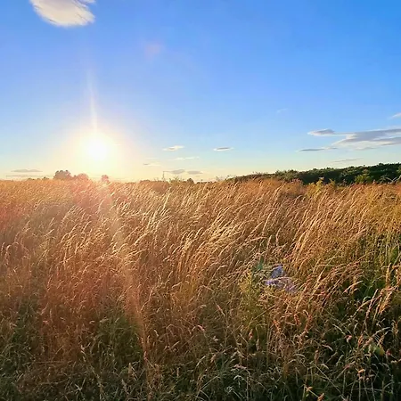 Starfish Shack - Part Of The The Bay Village With Pool, Gym And Direct Access, Pub, Restaurant, Tennis And Meadows Walks * Filey